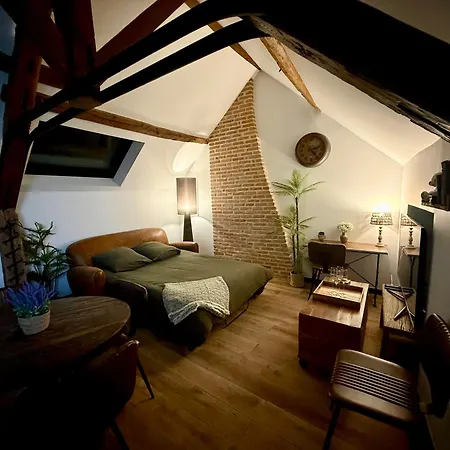 L'evidence, Atypique Et Authentique - Apartment
