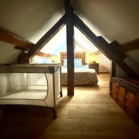 L'evidence, Atypique Et Authentique - *