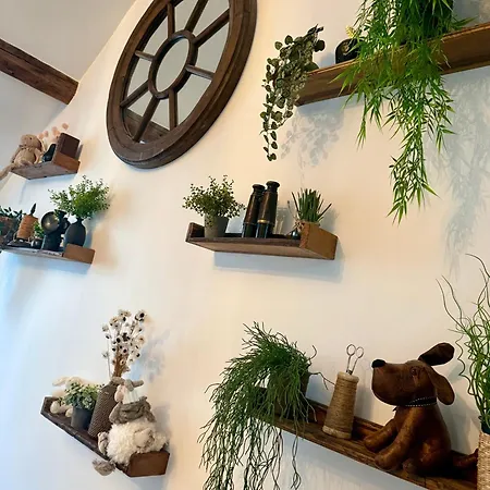 L'evidence, Atypique Et Authentique - *