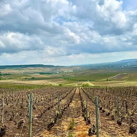 L'evidence, Authentique -