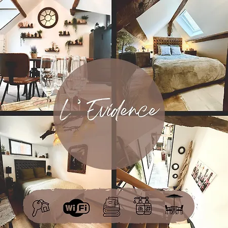 L'evidence, Atypique Et Authentique - Apartment Epernay